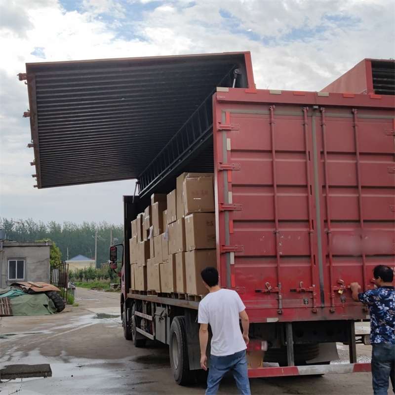 崂山区扎囊县：物流专线的高效货运之旅